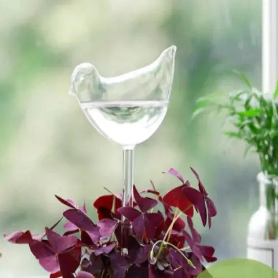 🌿 Automatic Plant Water Feeder – Effortless Hydration for Lush, Thriving Plants KIMDRE