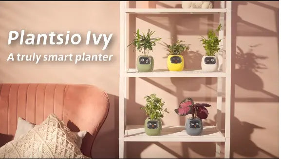 Ivy Smart Planter KIMDRE