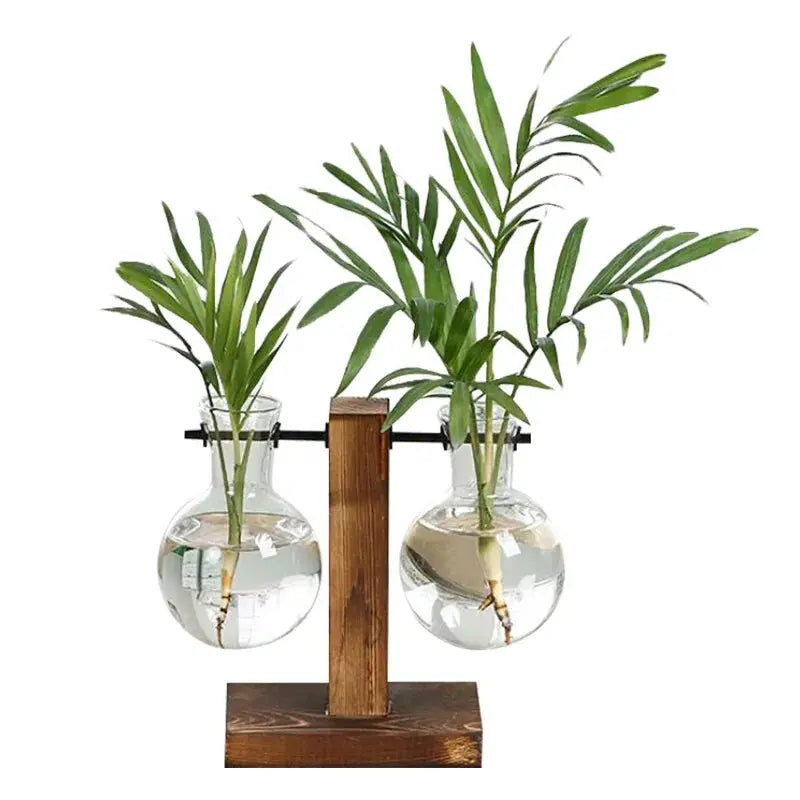 🌱 Premium Glass Plant Pot &amp KIMDRE