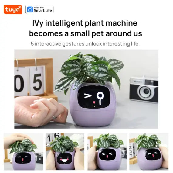 Smart Planter with AI KIMDRE