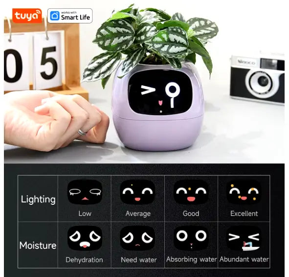 Smart Planter with AI KIMDRE