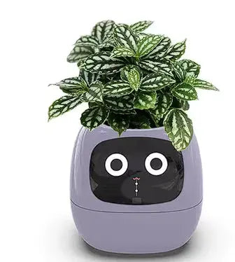 Pink Tuya Smart Planter with AI - KIMDRE